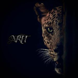 猎户H圆房～H嗯啊1V2
