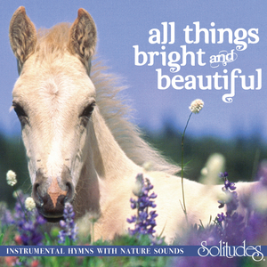 猎户H圆房～H嗯啊1V2
