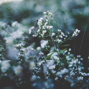 猎户H圆房～H嗯啊1V2
